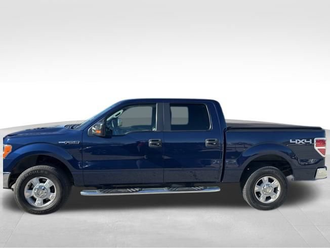 2010 Ford F-150 Platinum photo 2