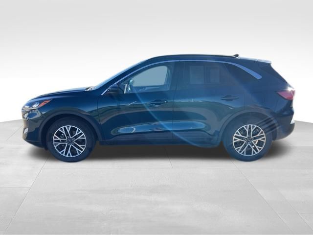 2020 Ford Escape SEL photo 2