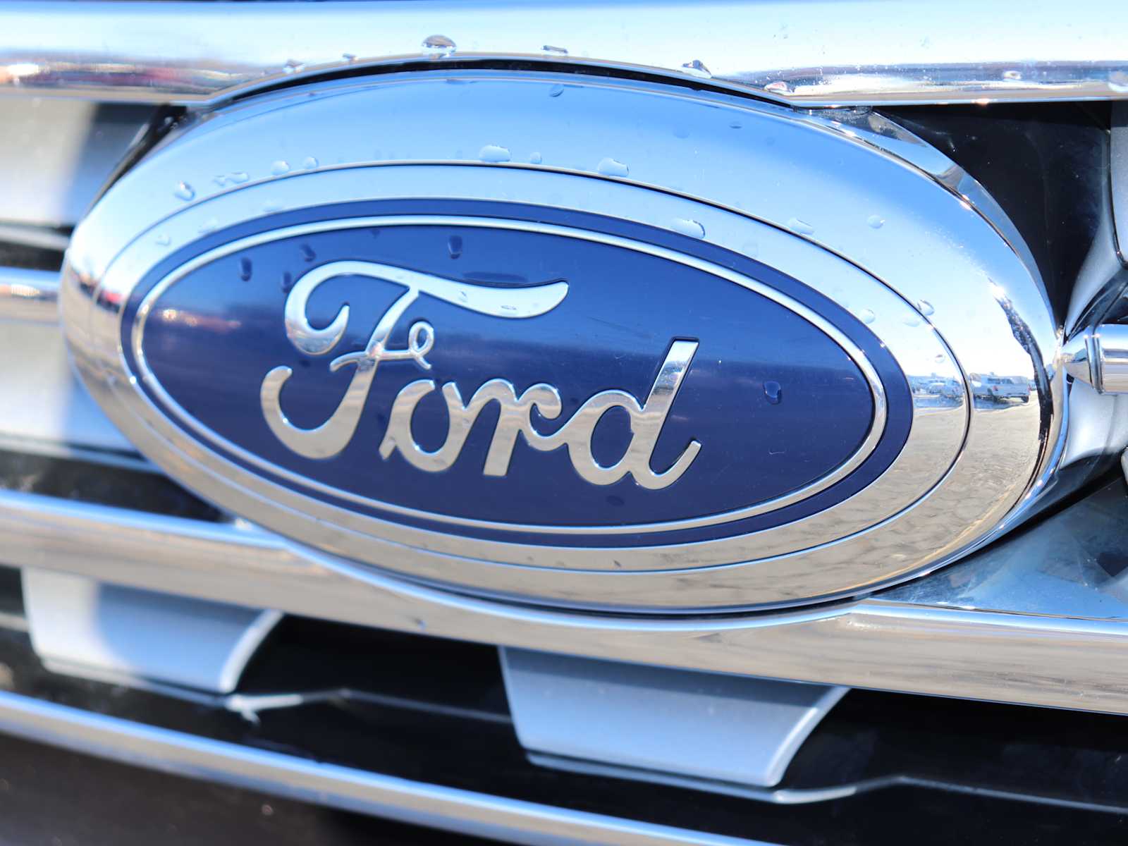 Thumbnail: 2019 Ford Expedition MAX - 12