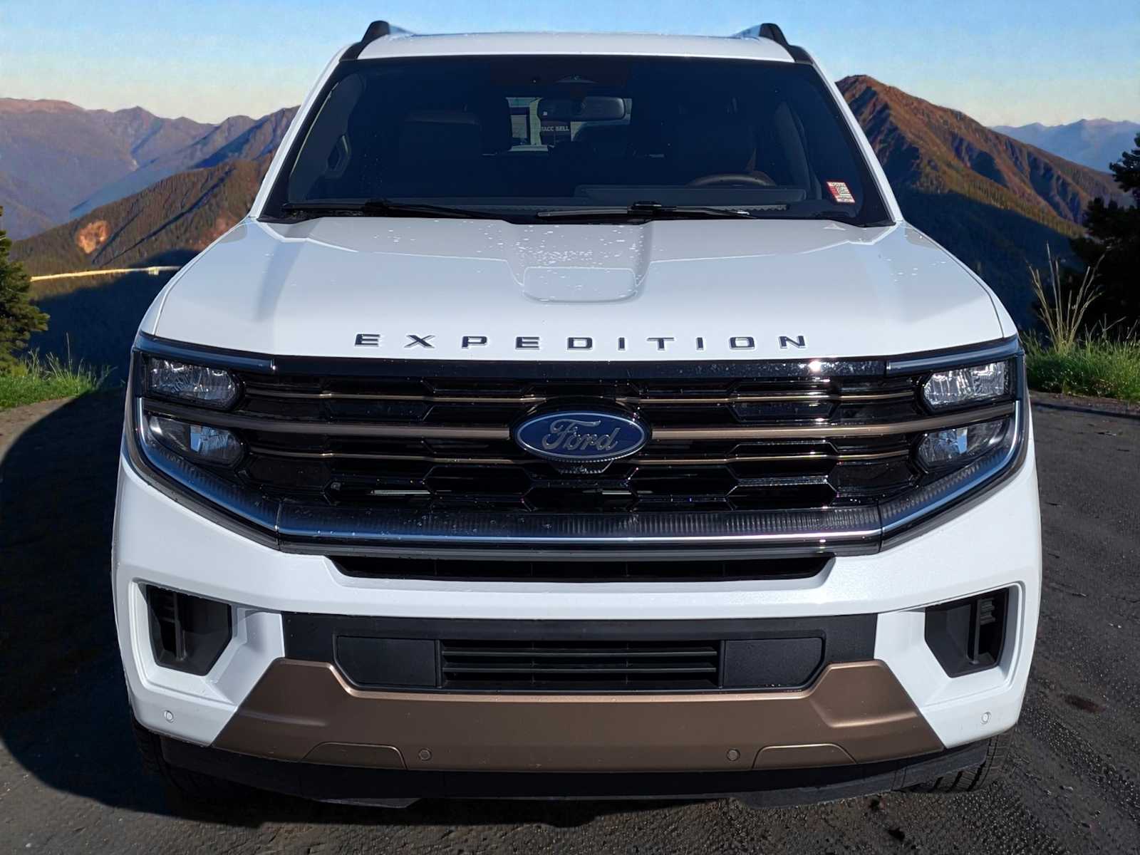 Thumbnail: 2025 Ford Expedition MAX - 9