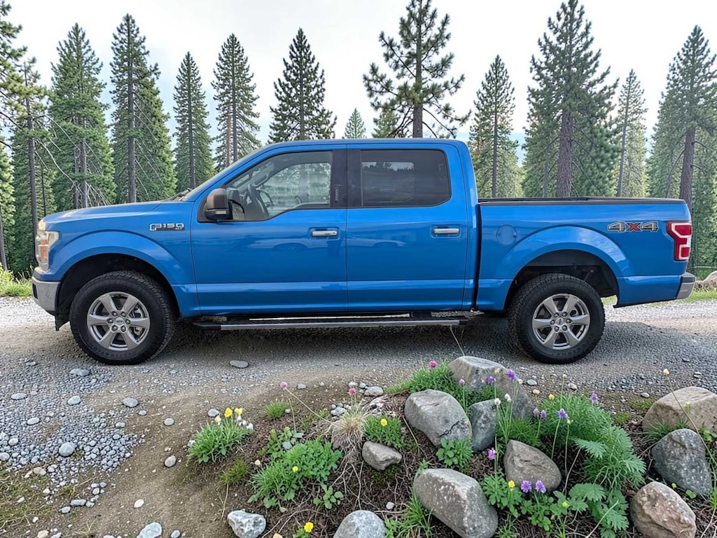 Used 2019 Ford F-150 XLT Truck SuperCrew Cab