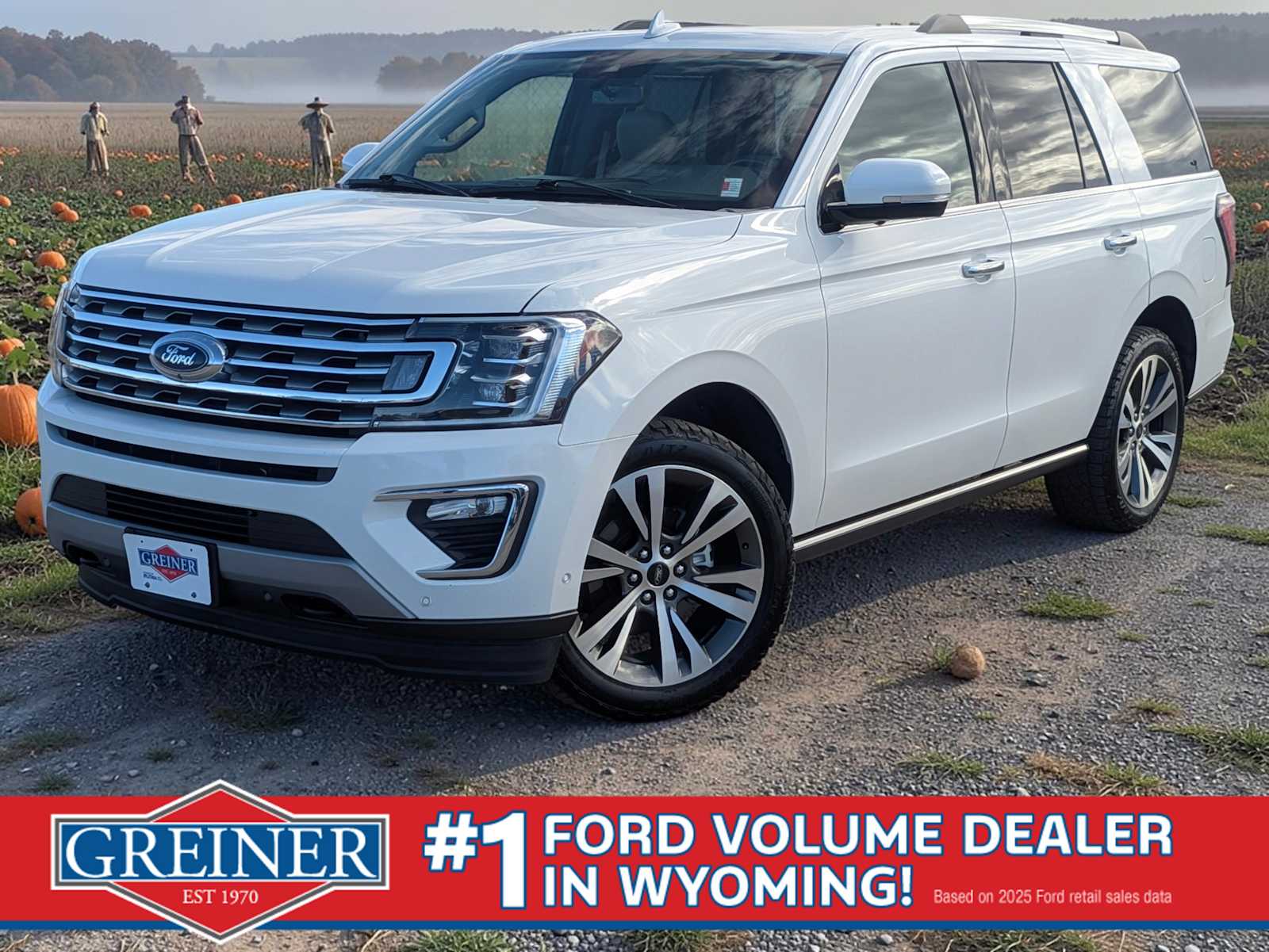 2021 Ford Expedition