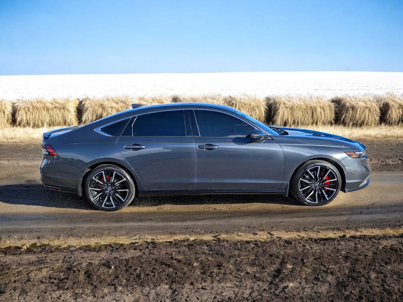 Thumbnail: 2025 Honda Accord - 7