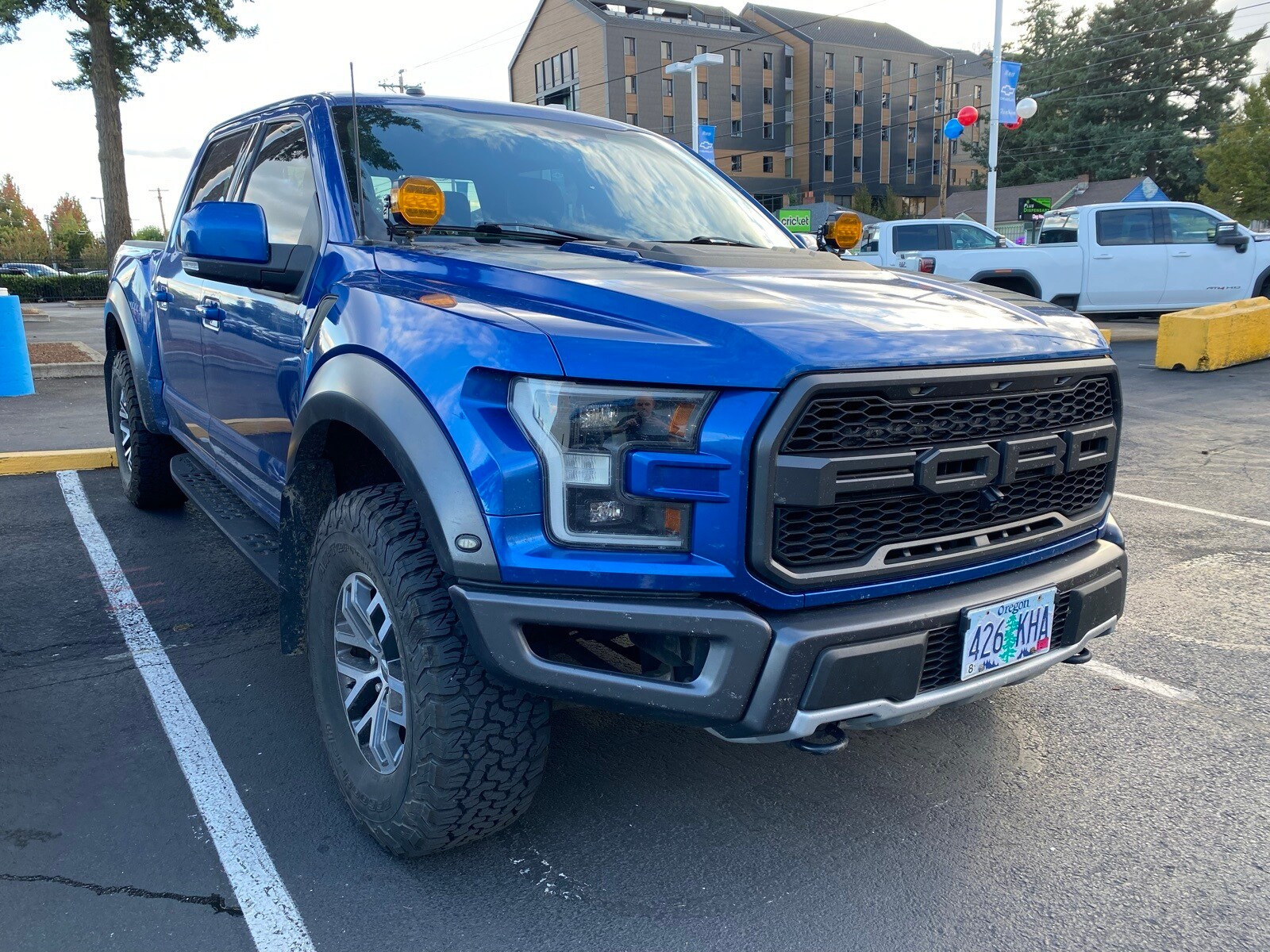 2017 Ford F-150 Raptor photo 3