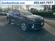  Kia Niro EV