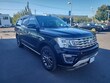 Ford Expedition Max