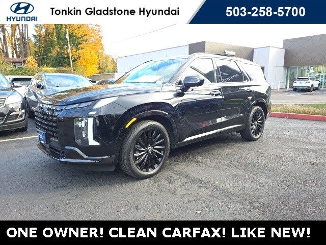 2025 Hyundai Palisade Calligraphy photo 2