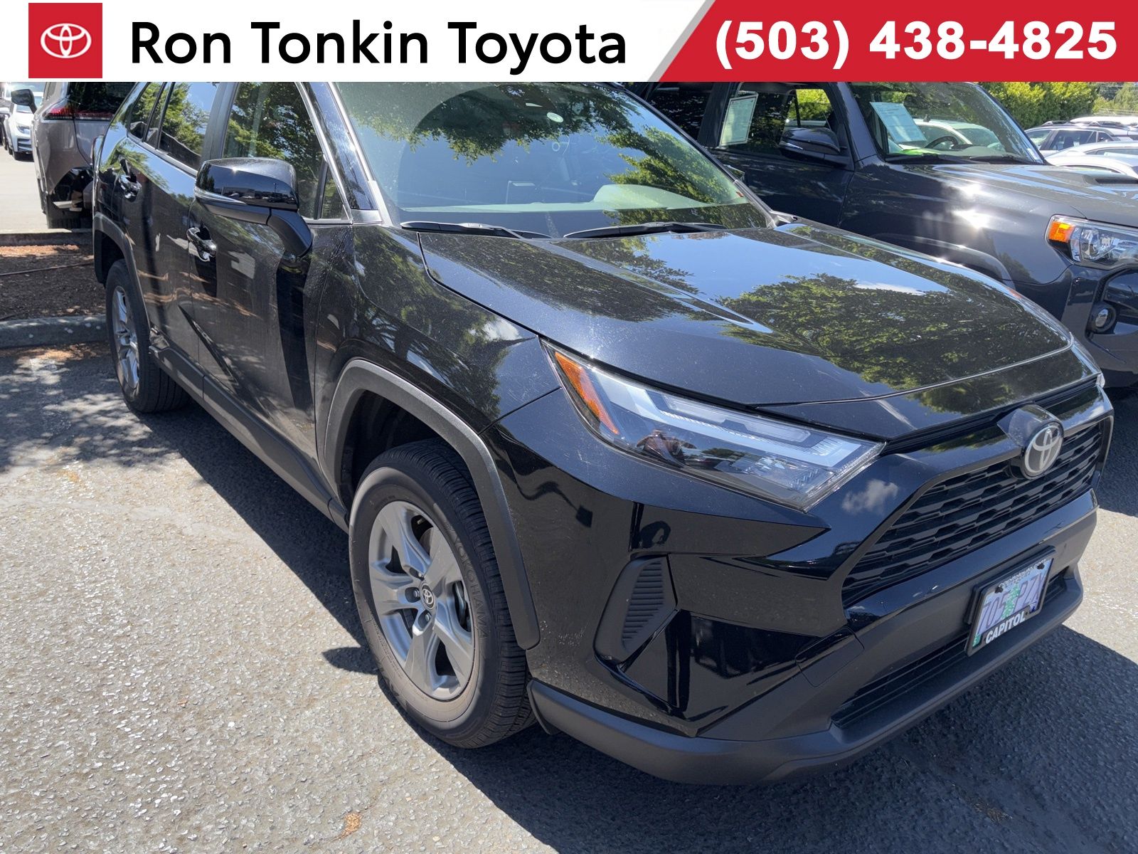 2025 Toyota RAV4 Hybrid LE AWD's photo