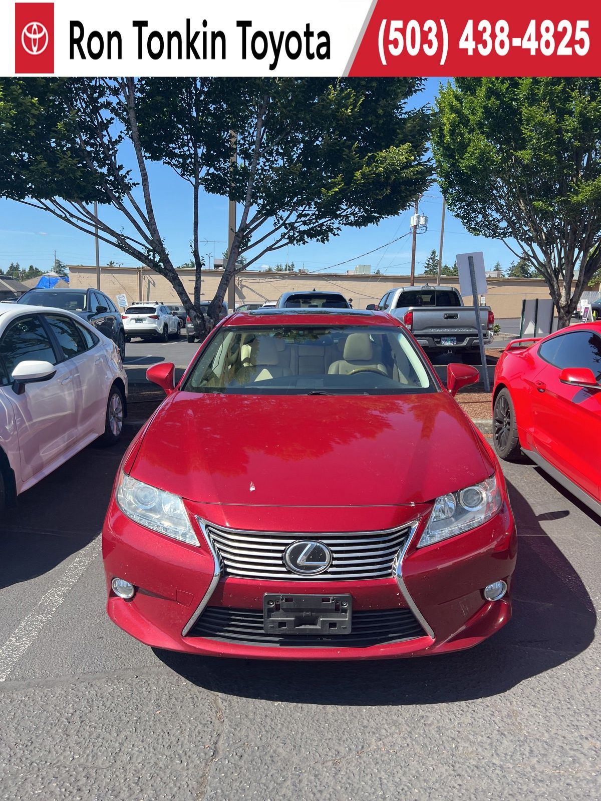 2013 Lexus ES 350 350's photo