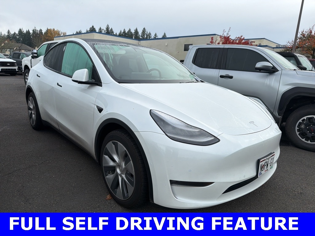 2020 Tesla Model Y Long Range photo 4