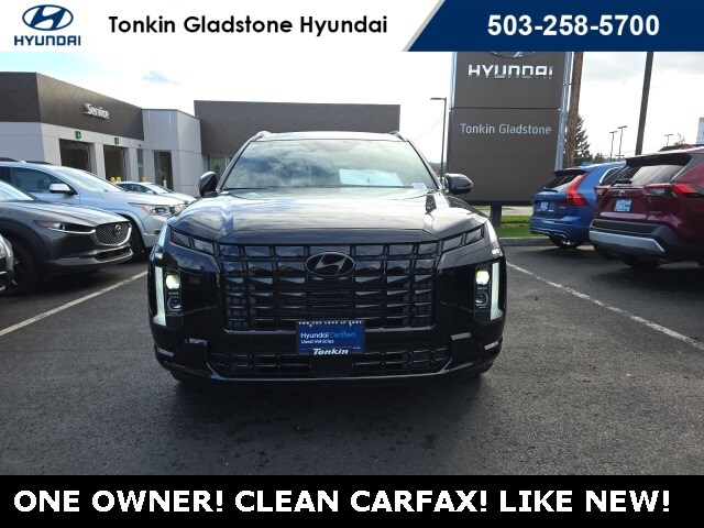 2025 Hyundai Palisade Calligraphy photo 3