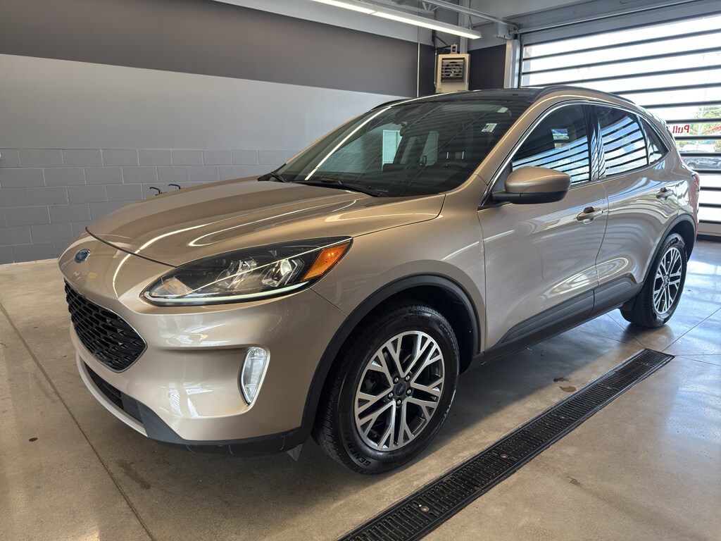 Used 2020 Ford Escape SEL SUV