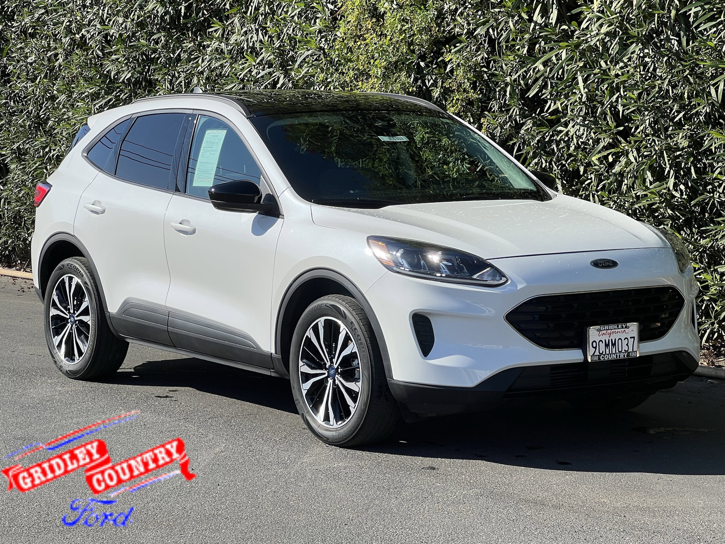 2022 Ford Escape SE's photo