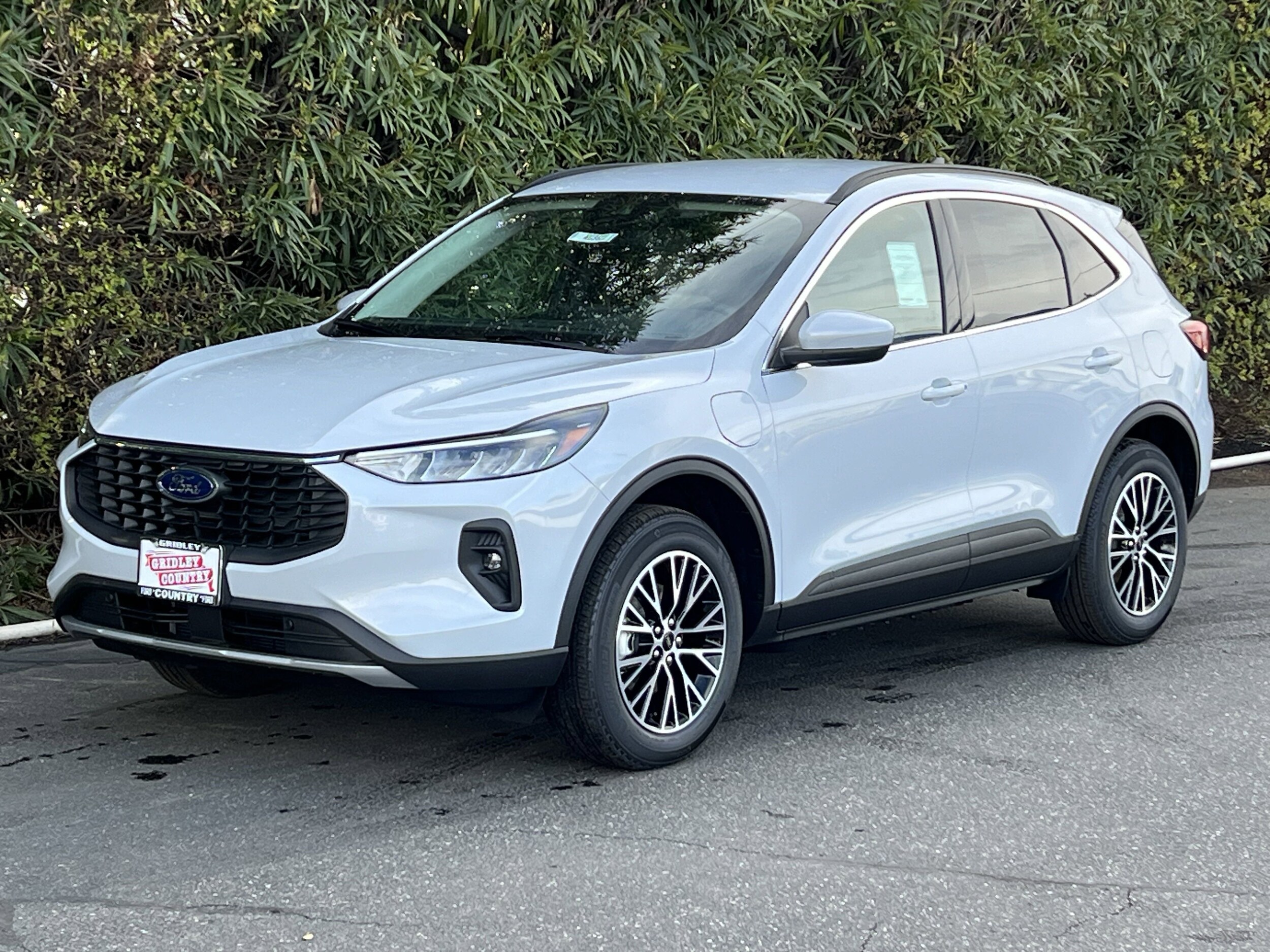 2025 Ford Escape photo 3