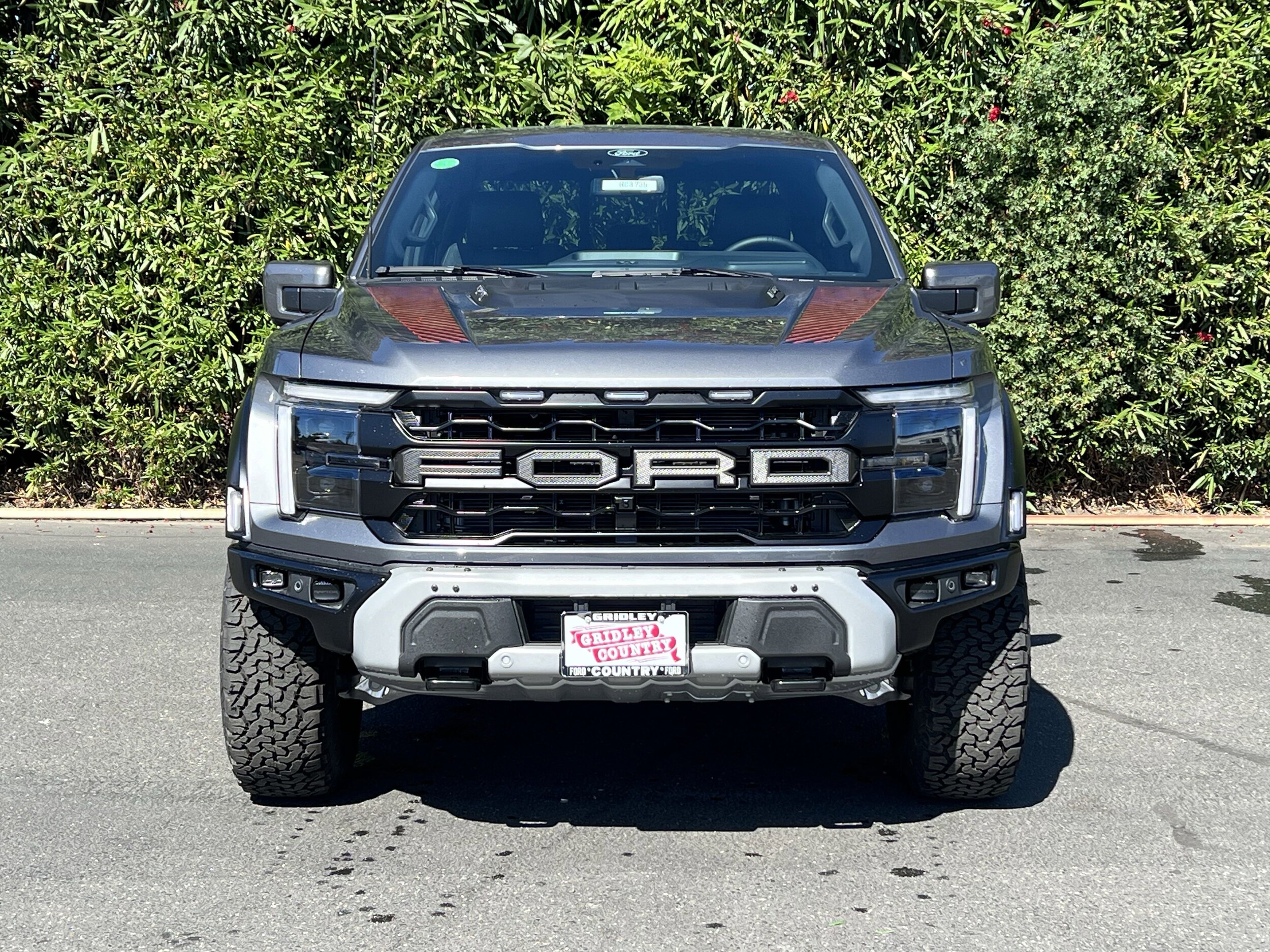 2025 Ford F-150 Raptor photo 2