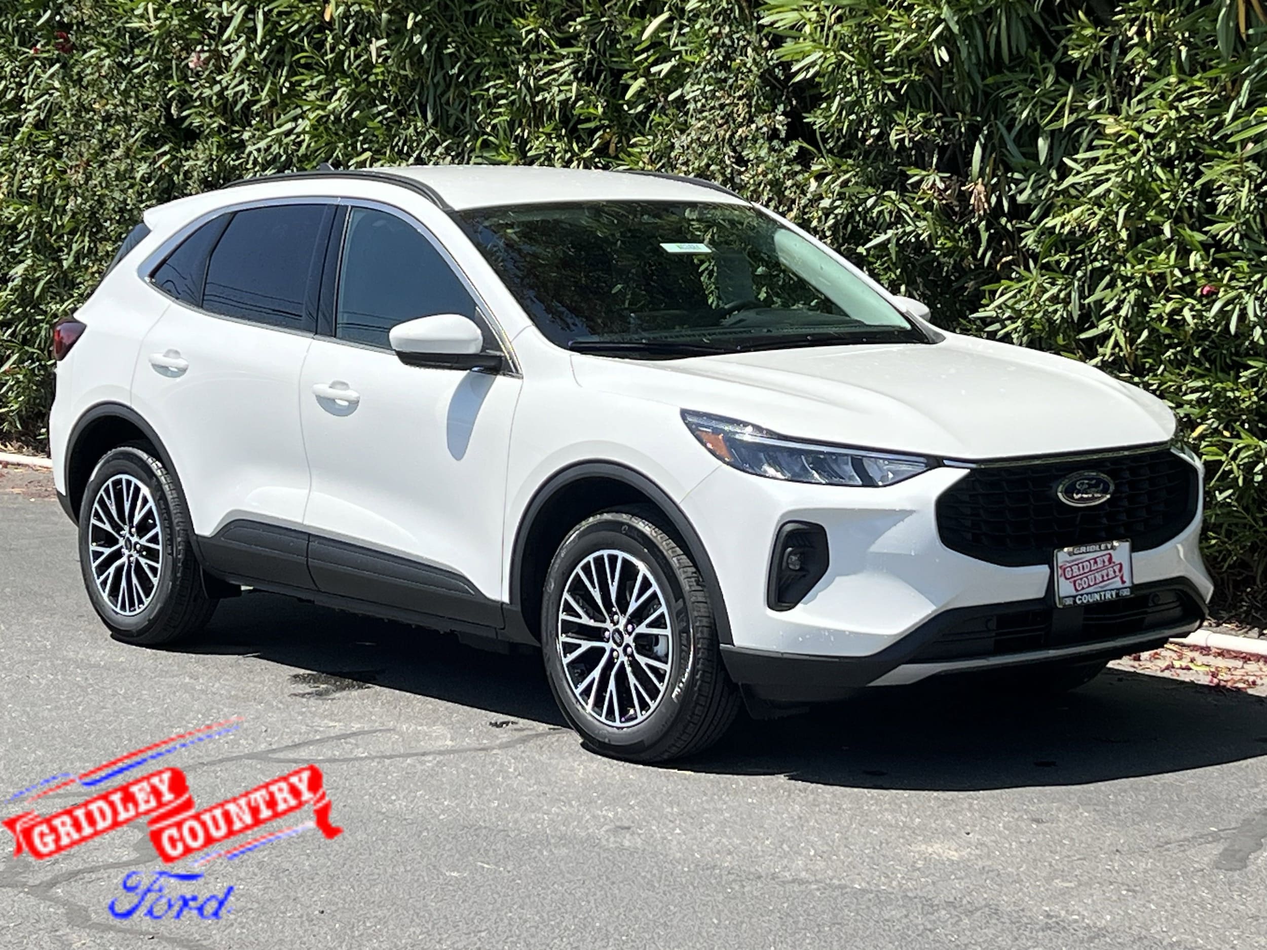 2025 Ford Escape PHEV