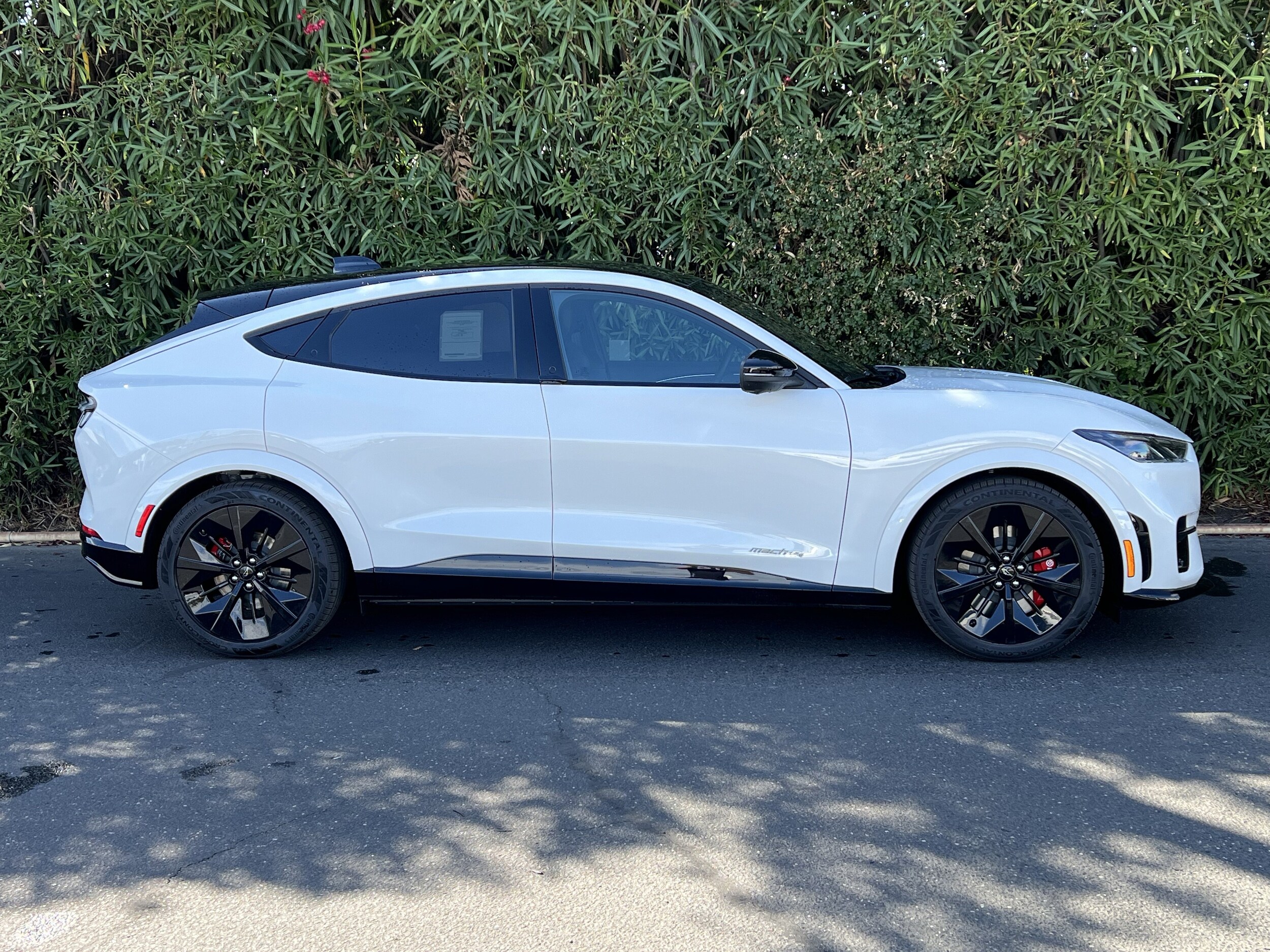 2025 Ford Mustang Mach-E GT photo 4
