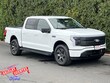  Ford F-150 Lightning