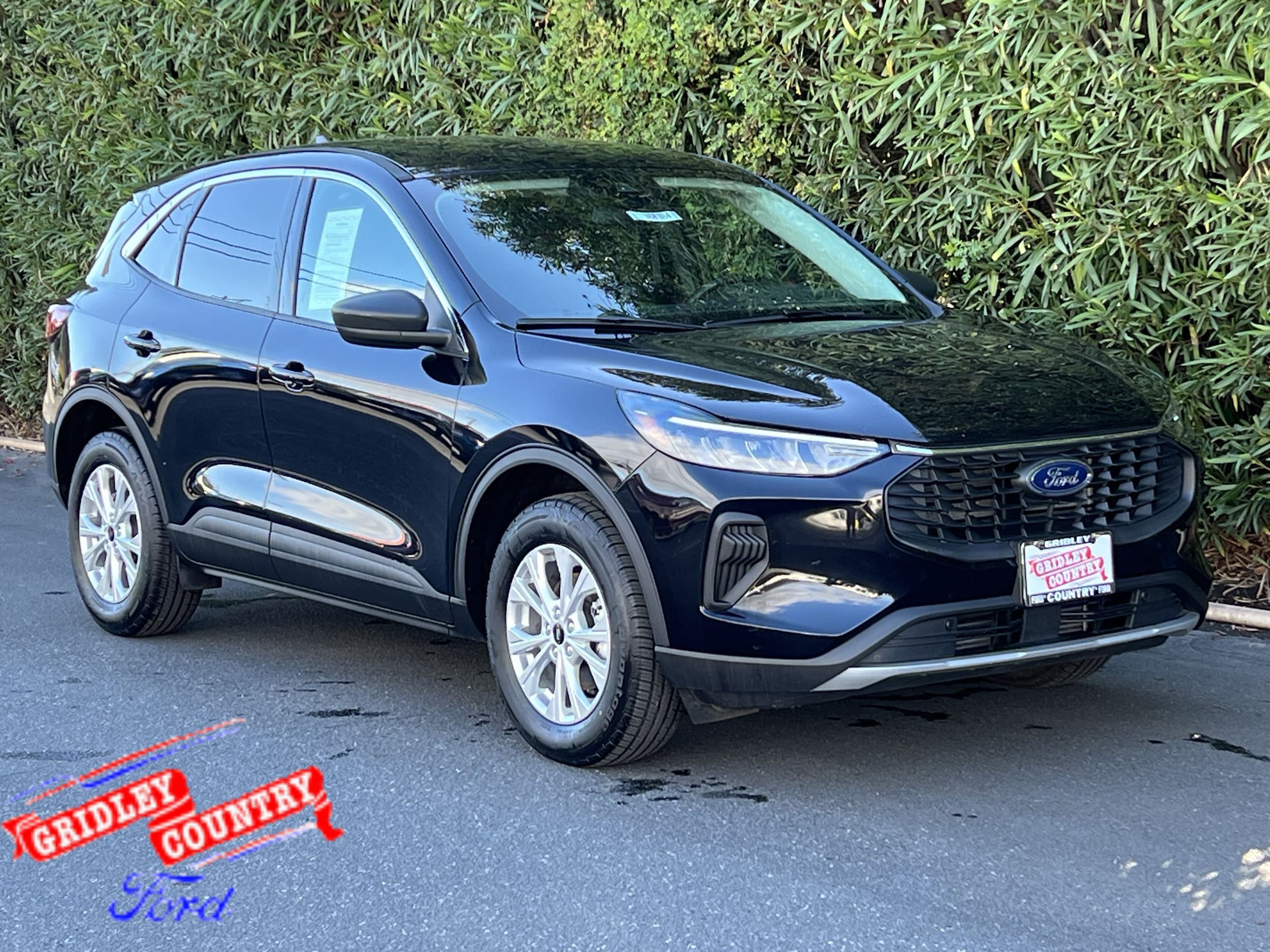 2024 Ford Escape Active's photo