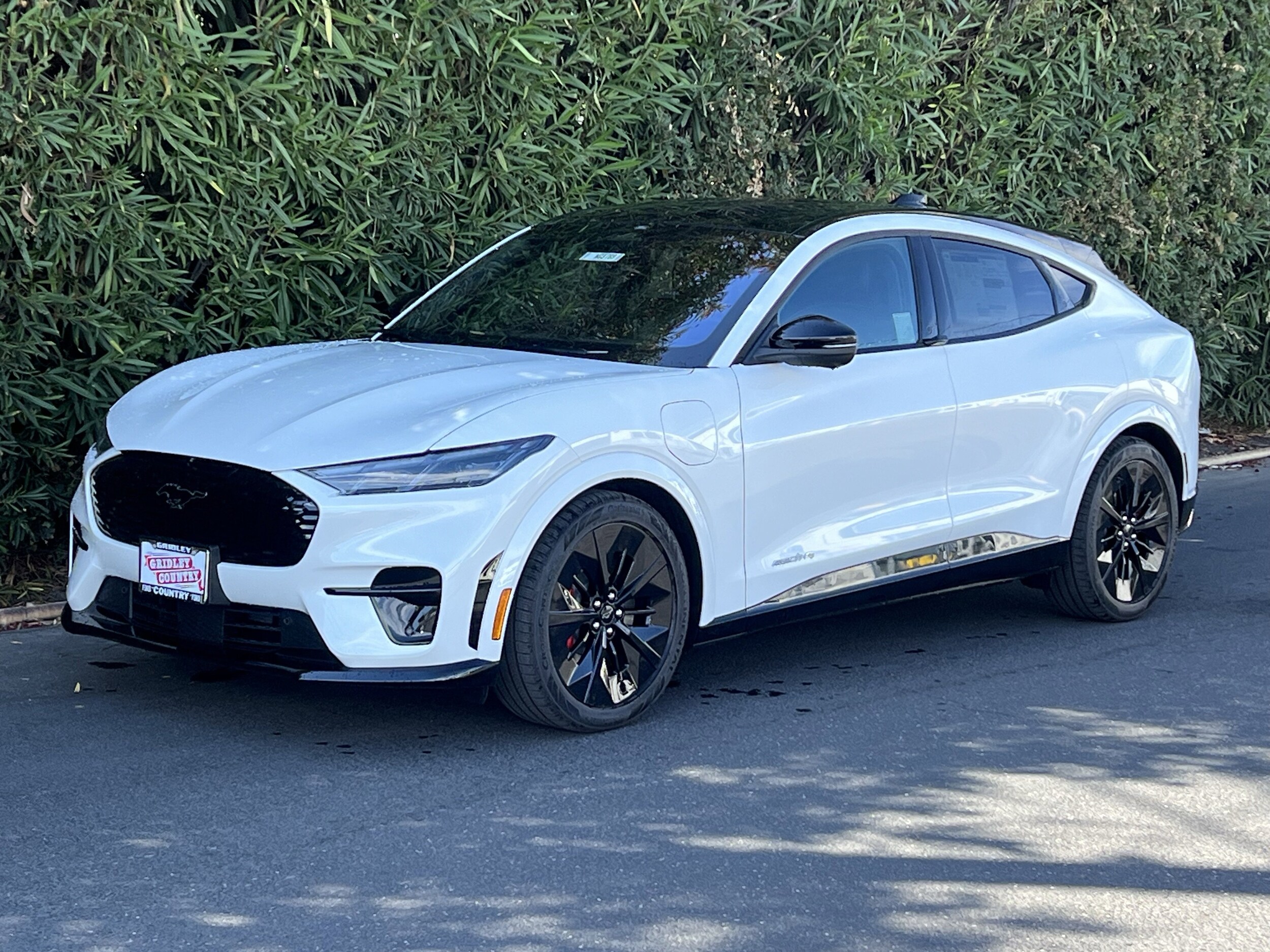 2025 Ford Mustang Mach-E GT photo 3