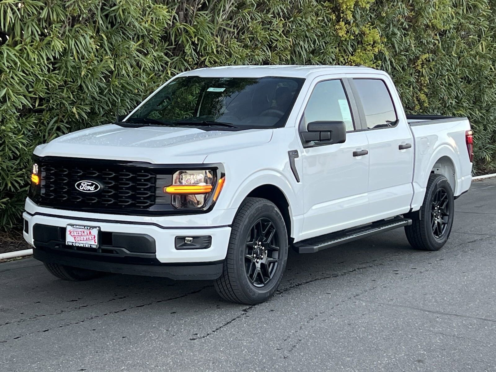 2025 Ford F-150 STX photo 3