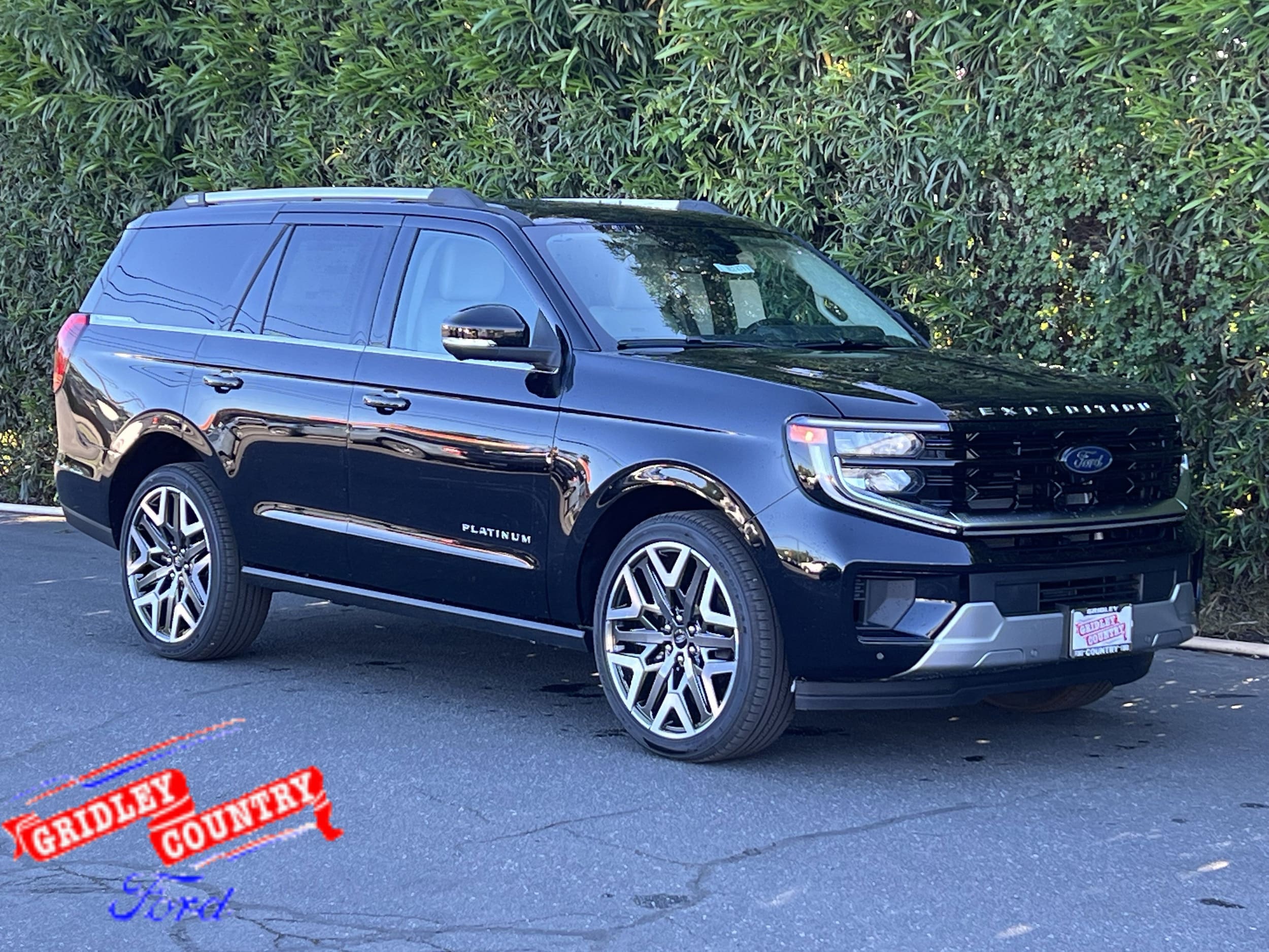 2026 Ford Expedition Platinum 4x4's photo
