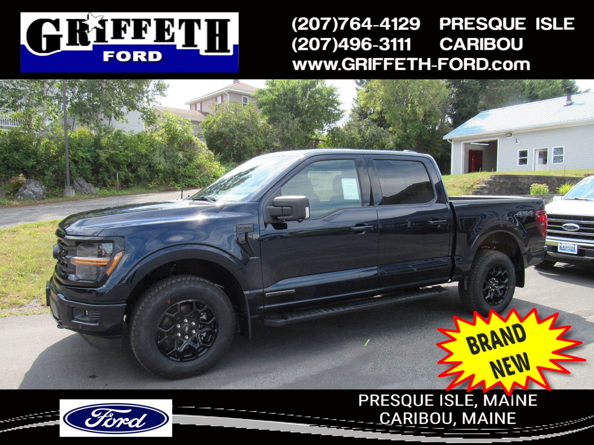 2025 Ford F-150 XLT's photo