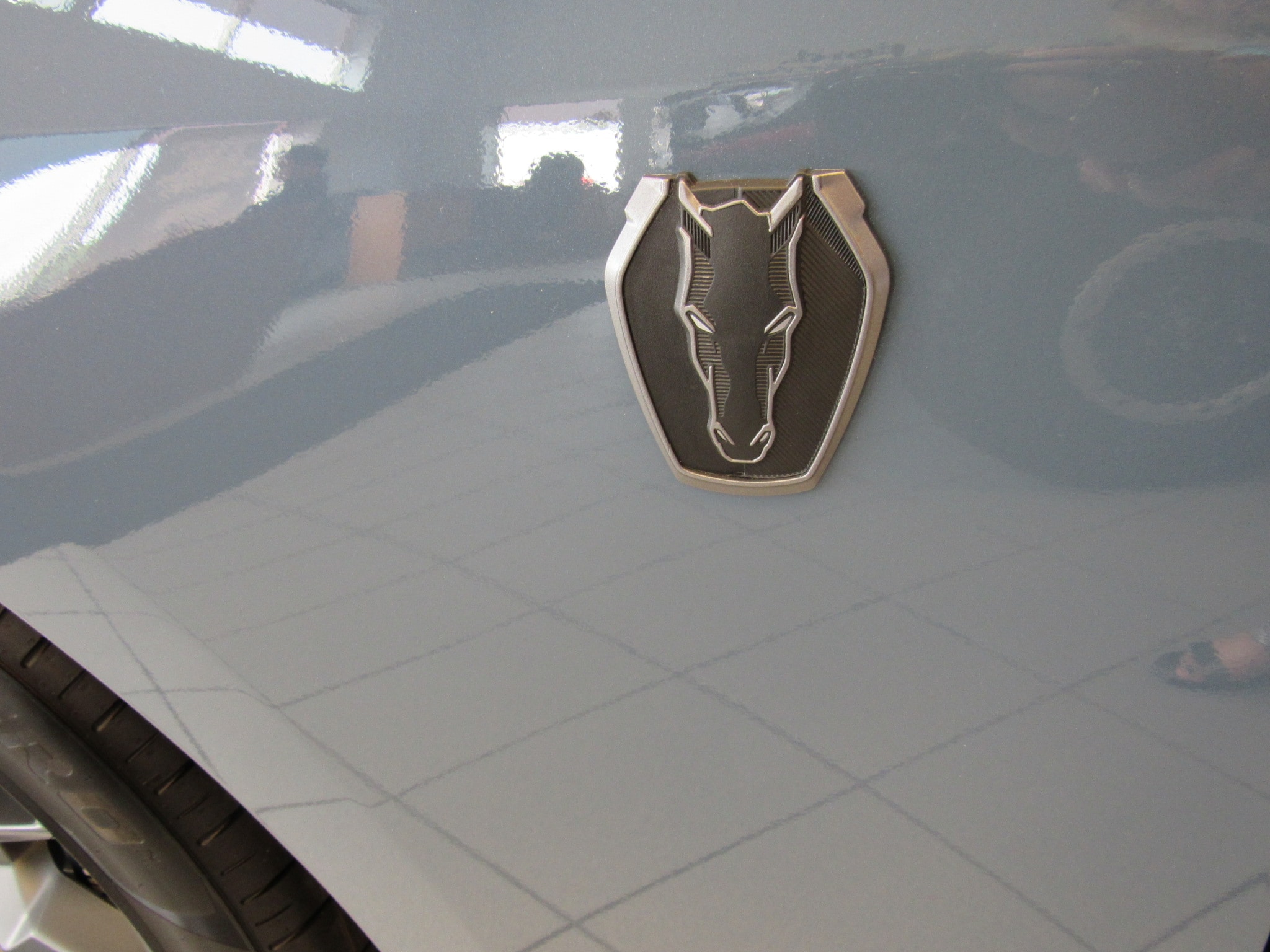 2025 Ford Mustang Dark Horse - Photo 18