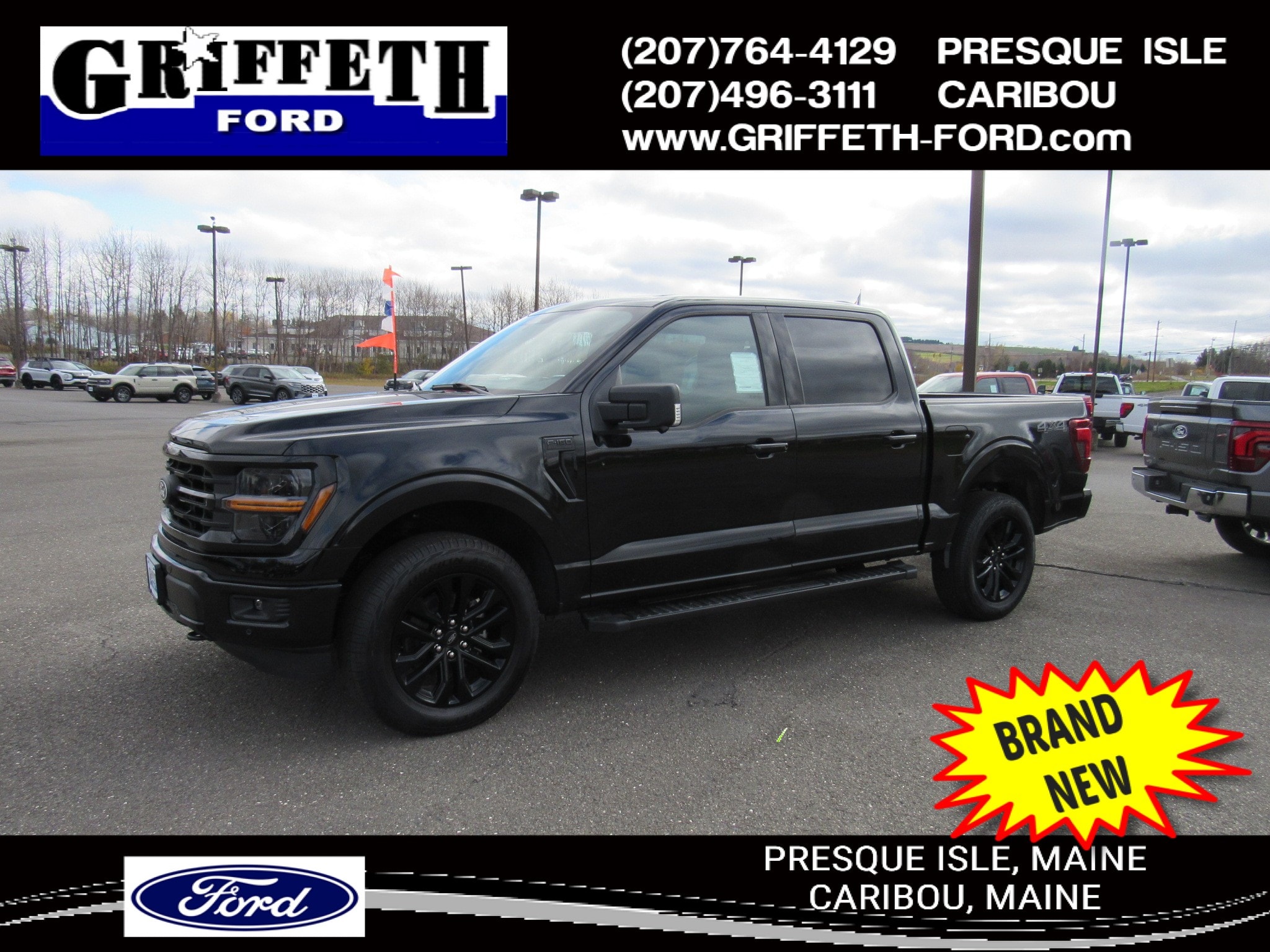 2025 Ford F-150 XLT's photo