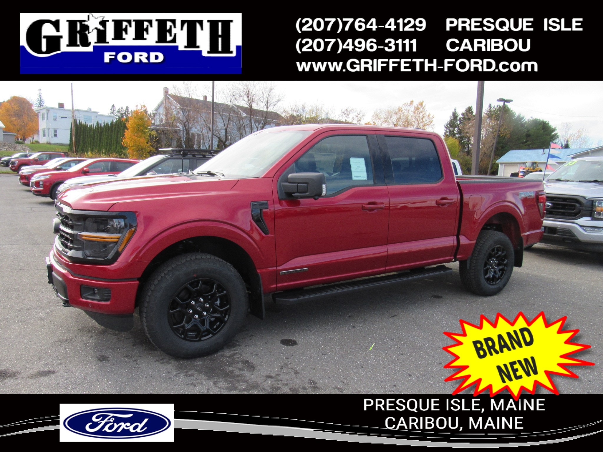 2025 Ford F-150 XLT's photo