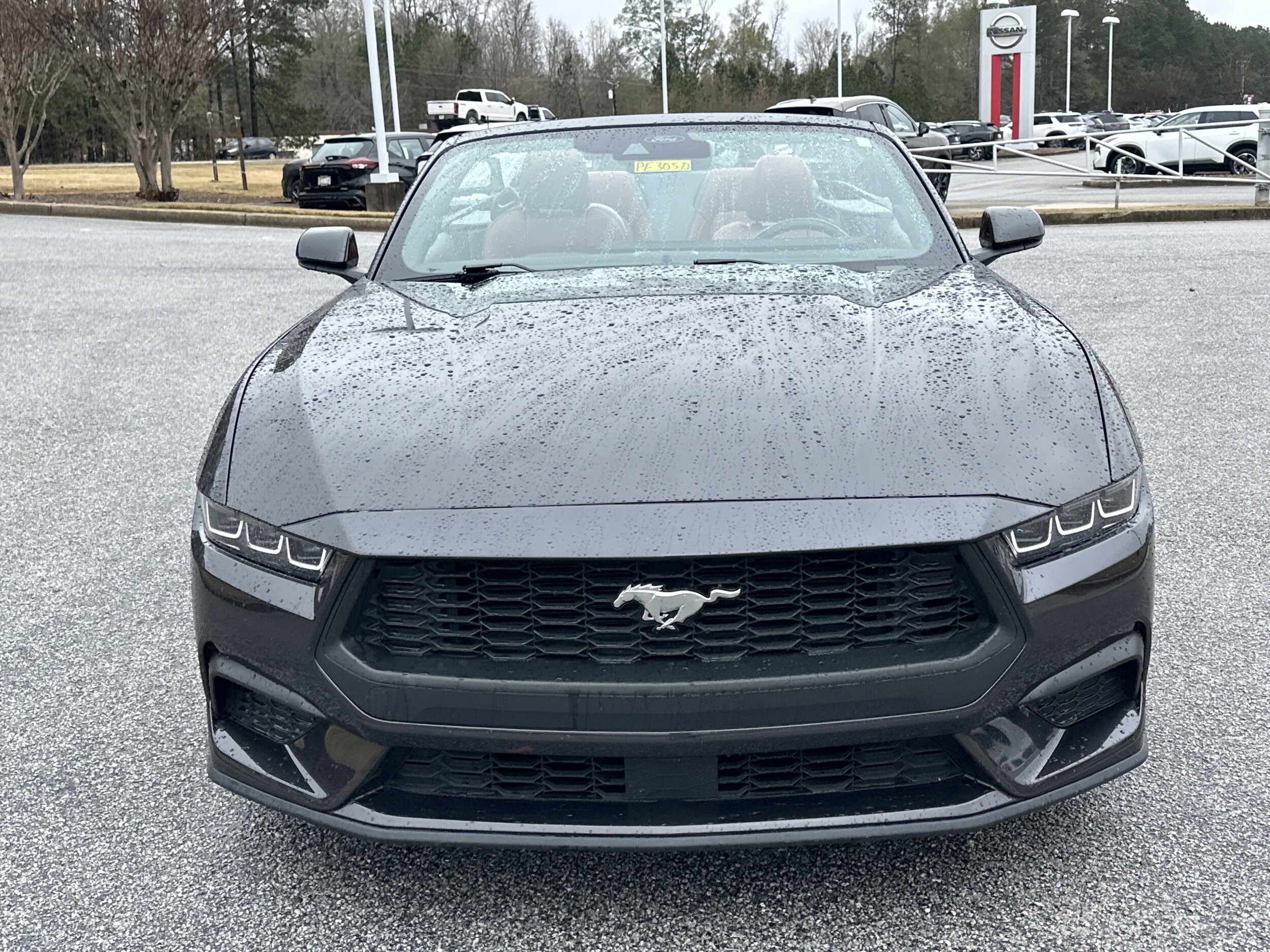 2024 Ford Mustang EcoBoost Premium Convertible photo 2