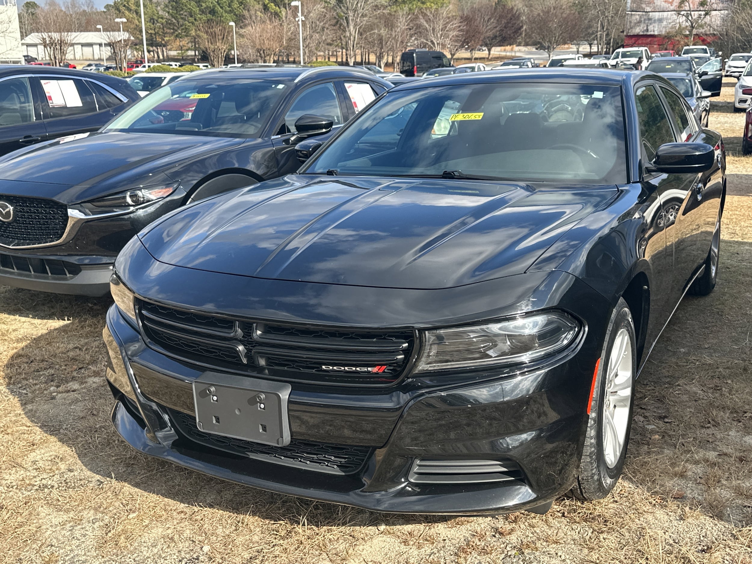 2023 Dodge Charger SXT's photo