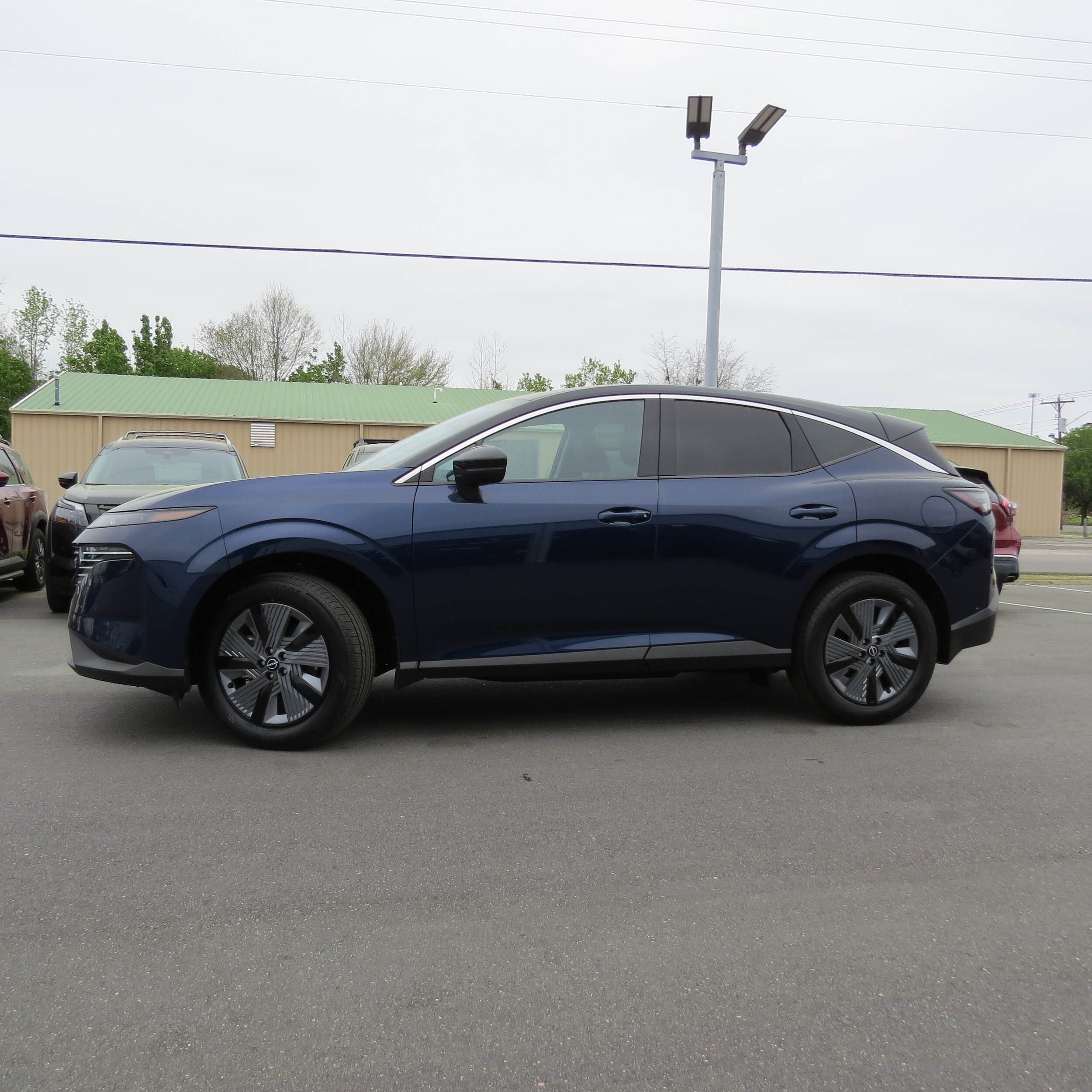 2025 Nissan Murano SL photo 3