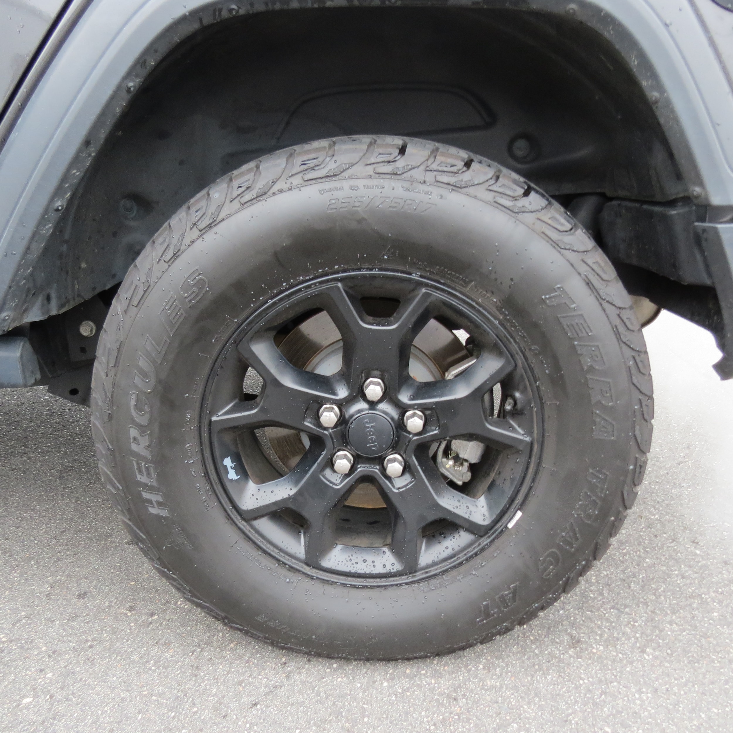 2020 Jeep Wrangler Unlimited Willys Granite Crystal Metallic Clearcoat at Stokes Toyota Hilton Head