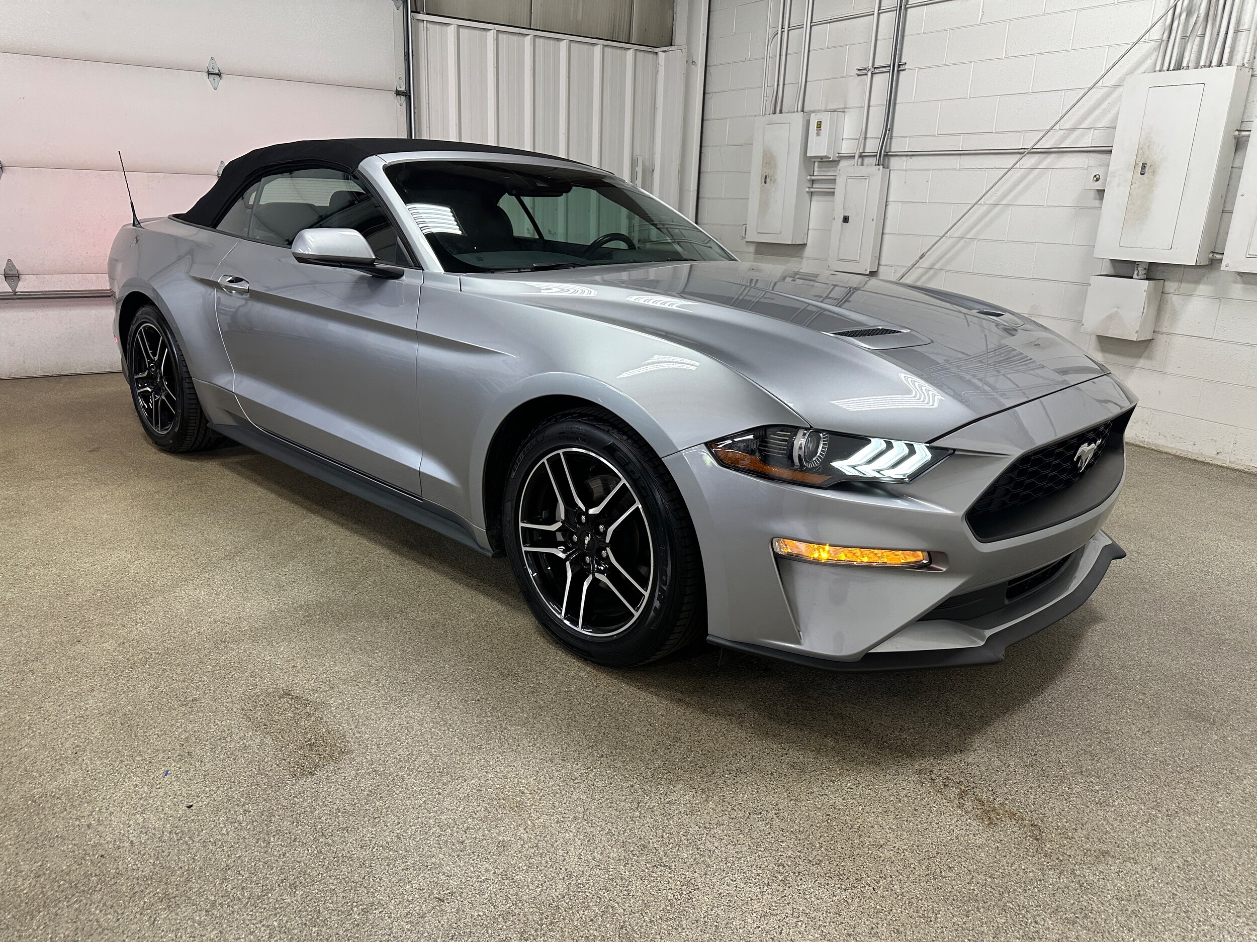 2023 Ford Mustang EcoBoost Premium Convertible photo 3