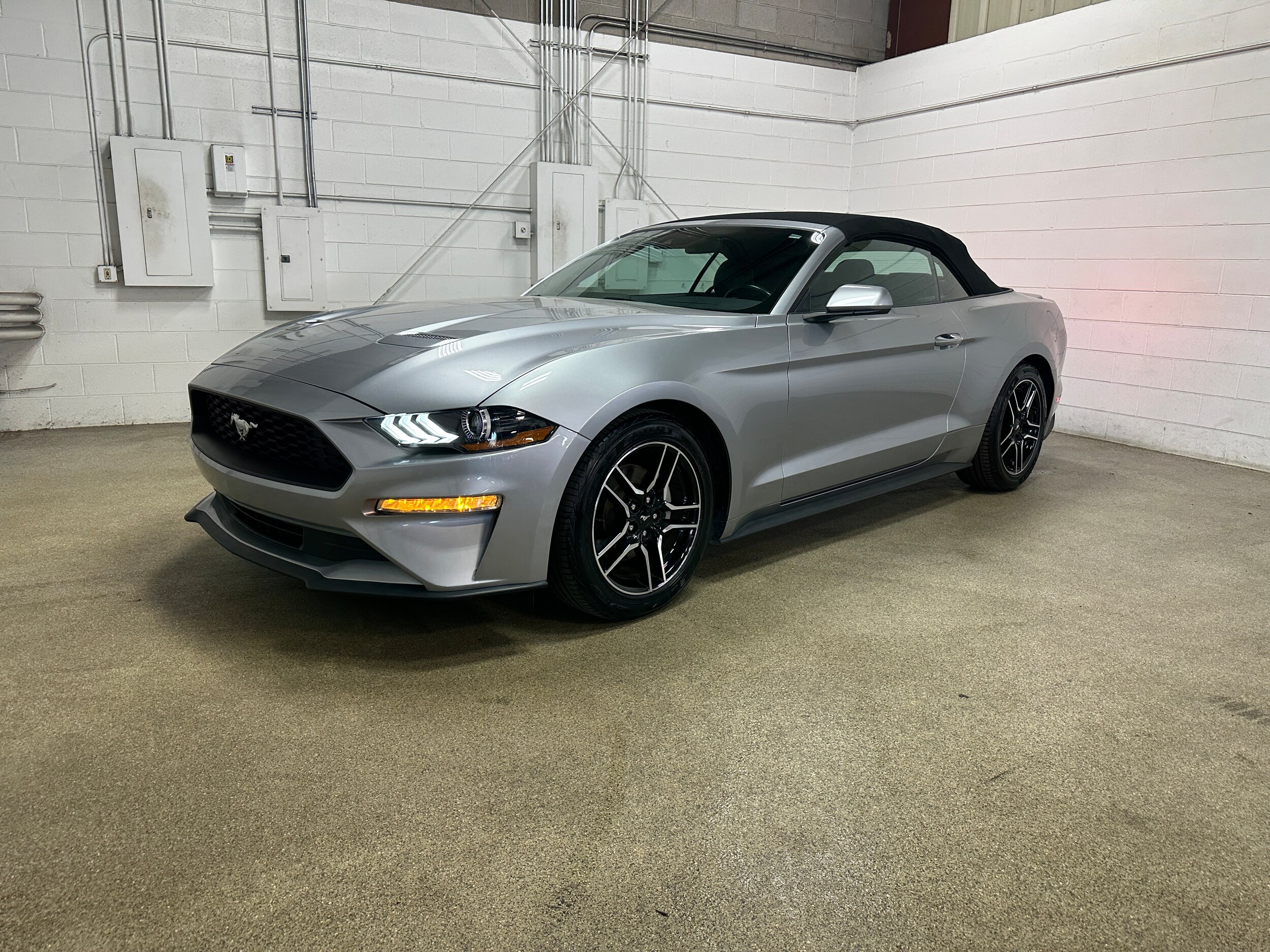 2023 Ford Mustang EcoBoost Premium Convertible photo 4