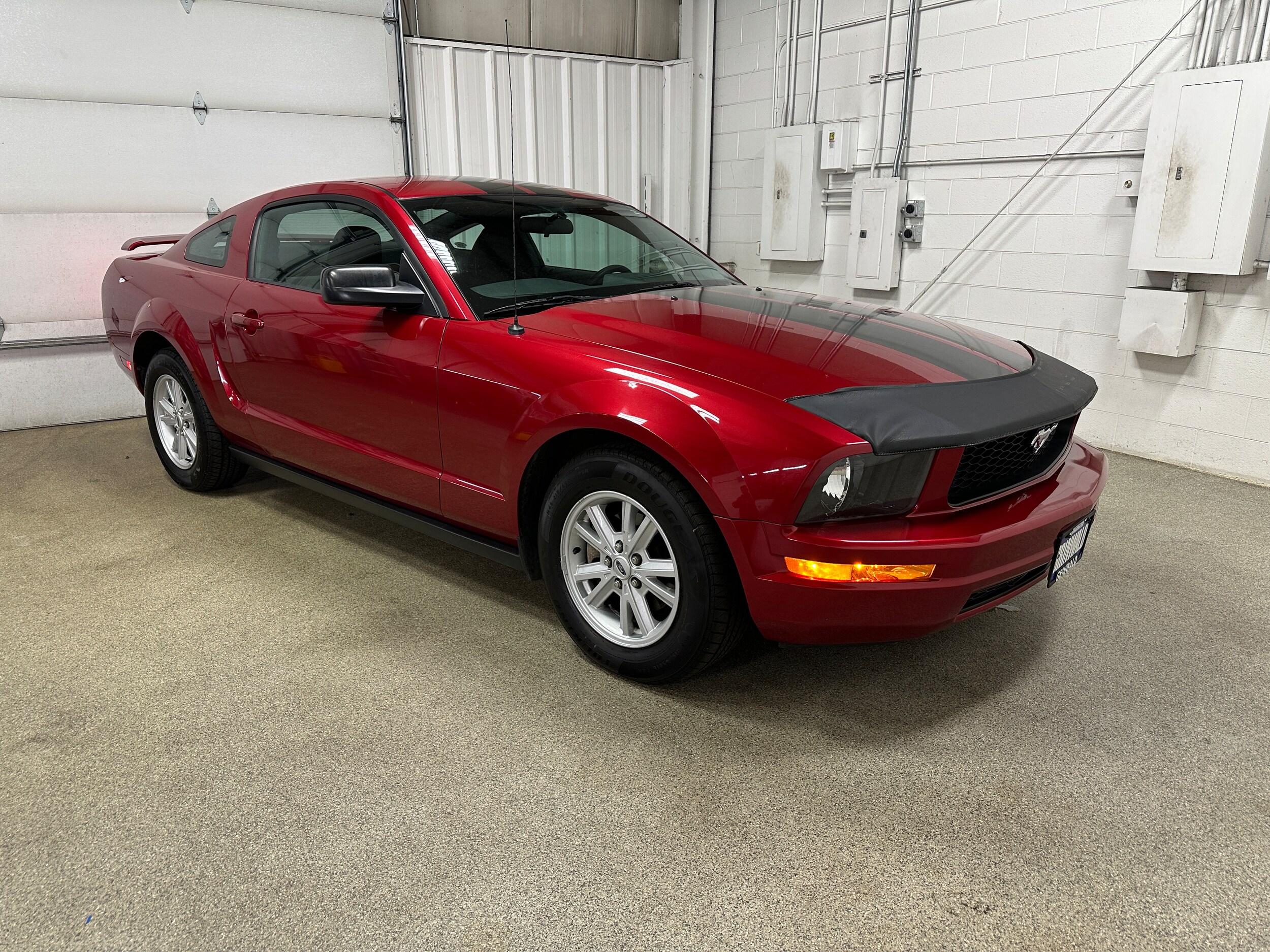 2005 Ford Mustang Deluxe photo 3