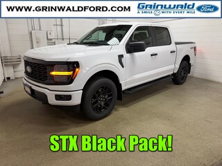 2025 Ford F-150 STX TRUCK