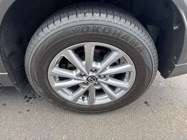 View 30