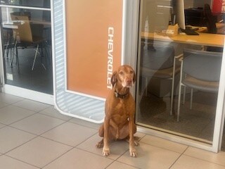 Staff member Becket from ID_edada5b40b7e