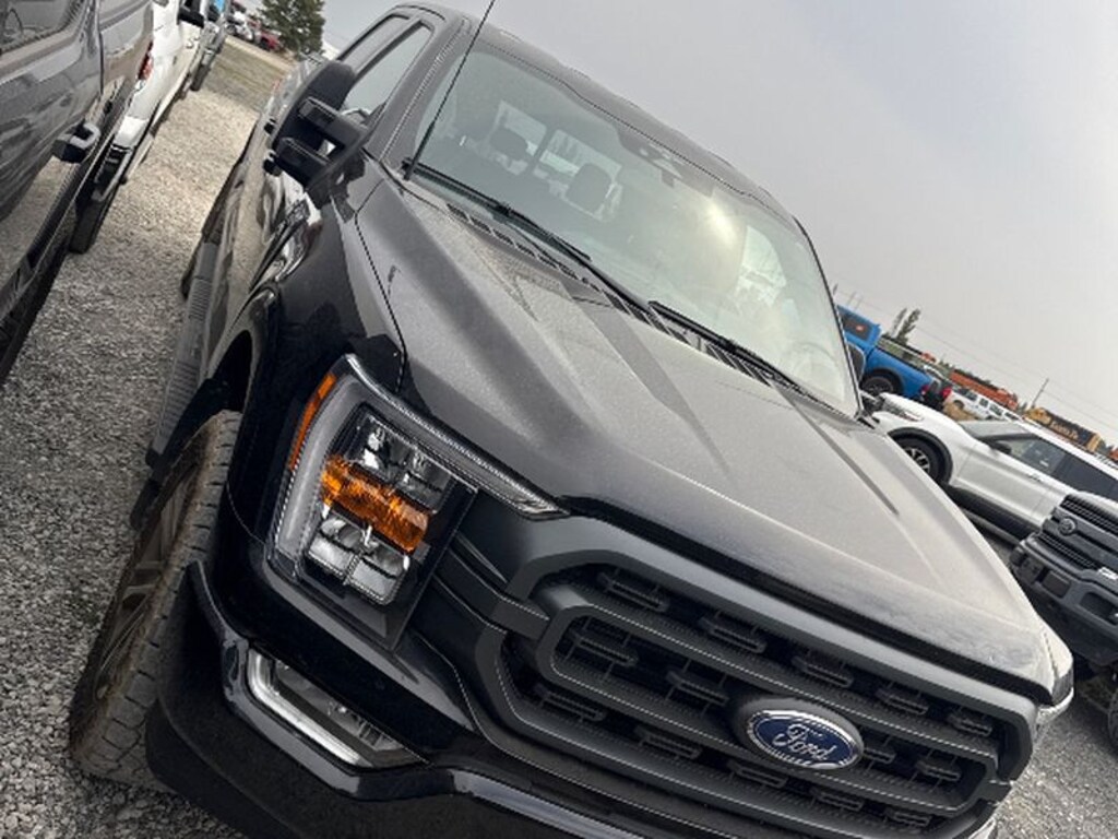 Used 2023 Ford F-150 Cab; Super Crew