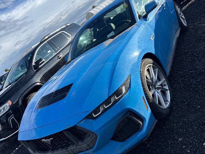 2024 Ford Mustang Mach 1's photo