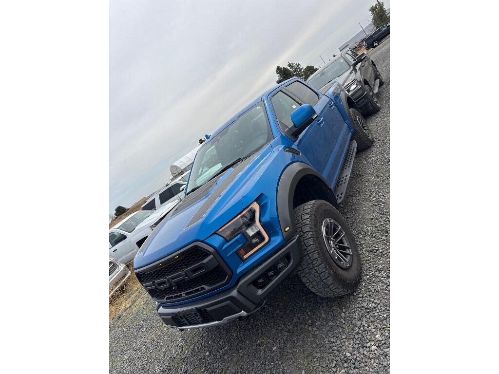 Used 2020 Ford F-150 Raptor Cab; Super Crew