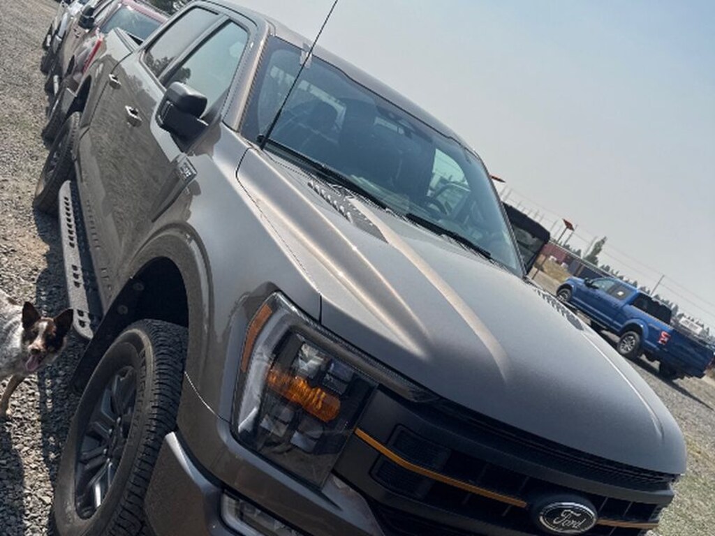 Used 2023 Ford F-150 Cab; Super Crew