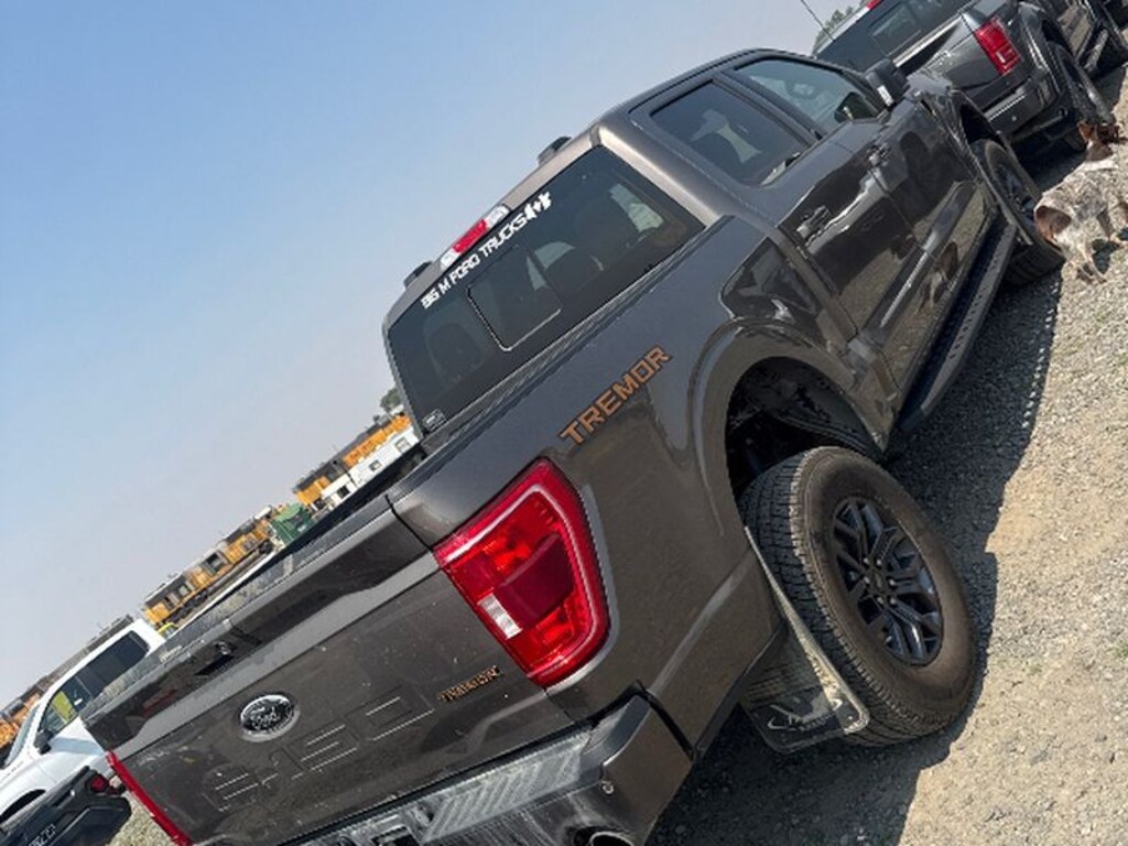 Used 2023 Ford F-150 Cab; Super Crew