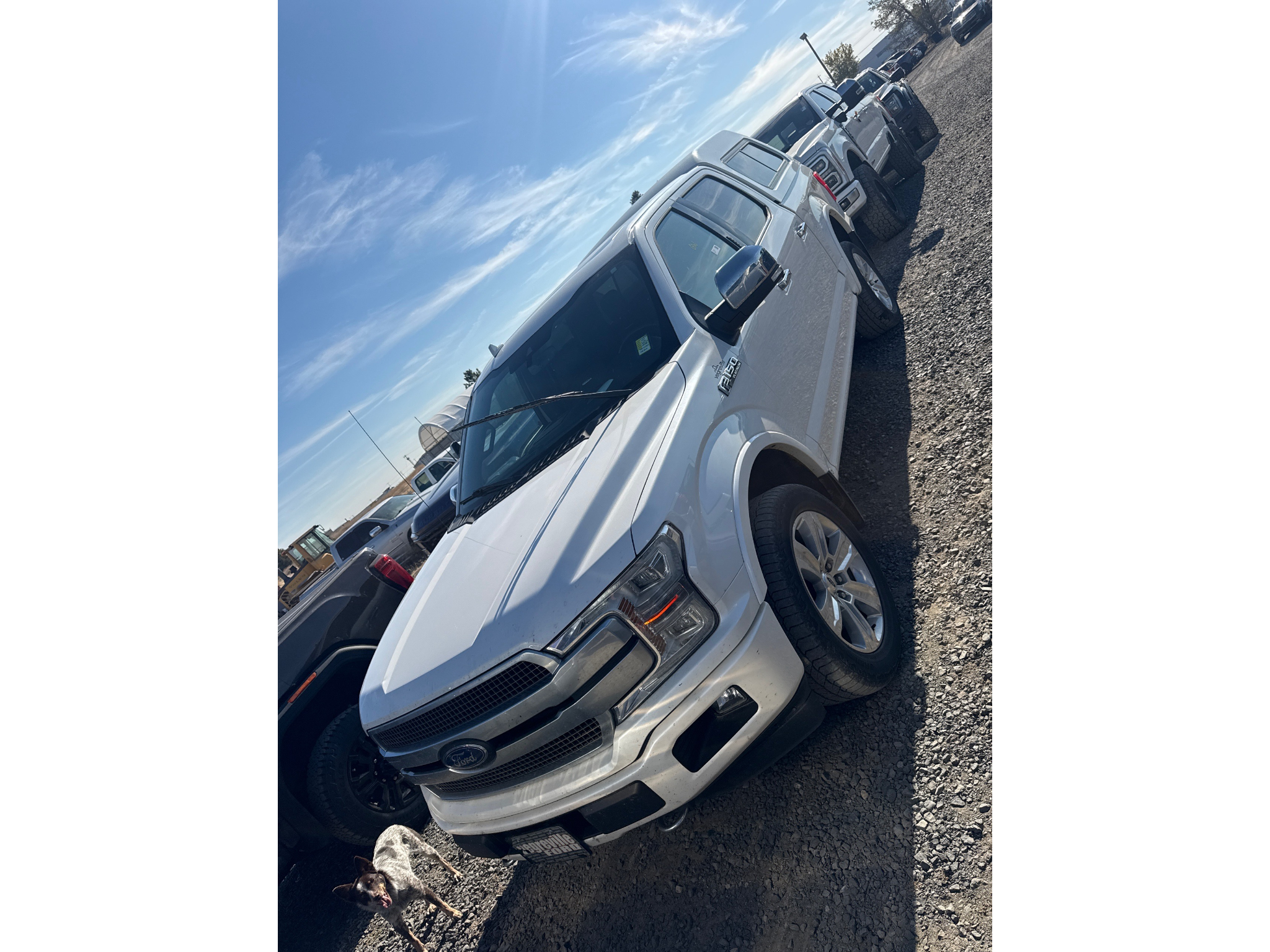 Used 2019 Ford F-150 Cab; Super Crew