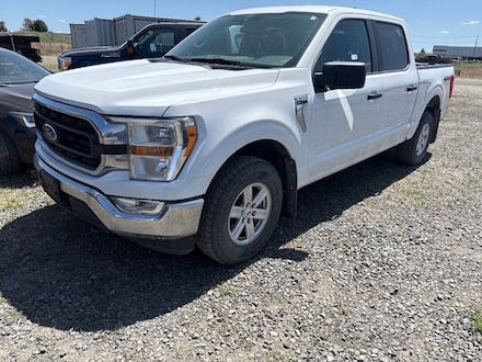 2021 Ford F-150 Cab; Styleside; Super Crew