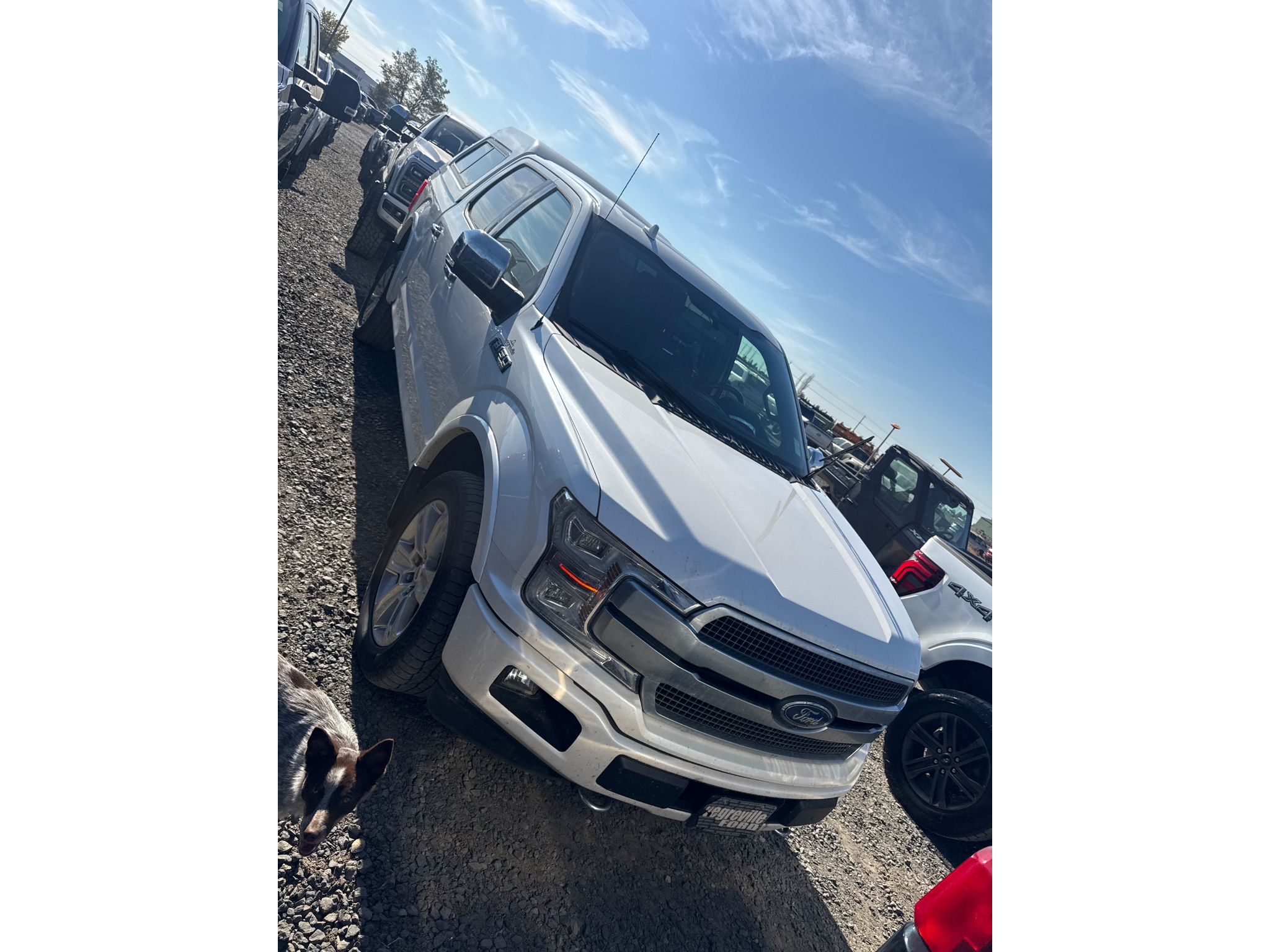 Used 2019 Ford F-150 Cab; Super Crew
