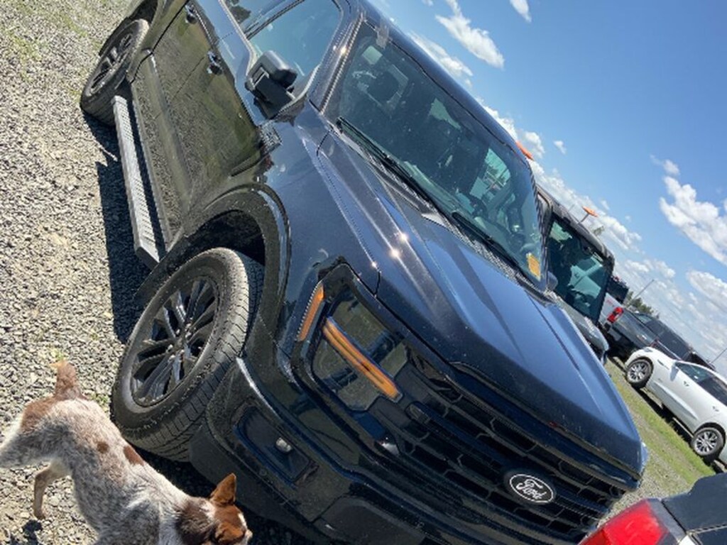 Used 2024 Ford F-150 XLT Cab; Super Crew
