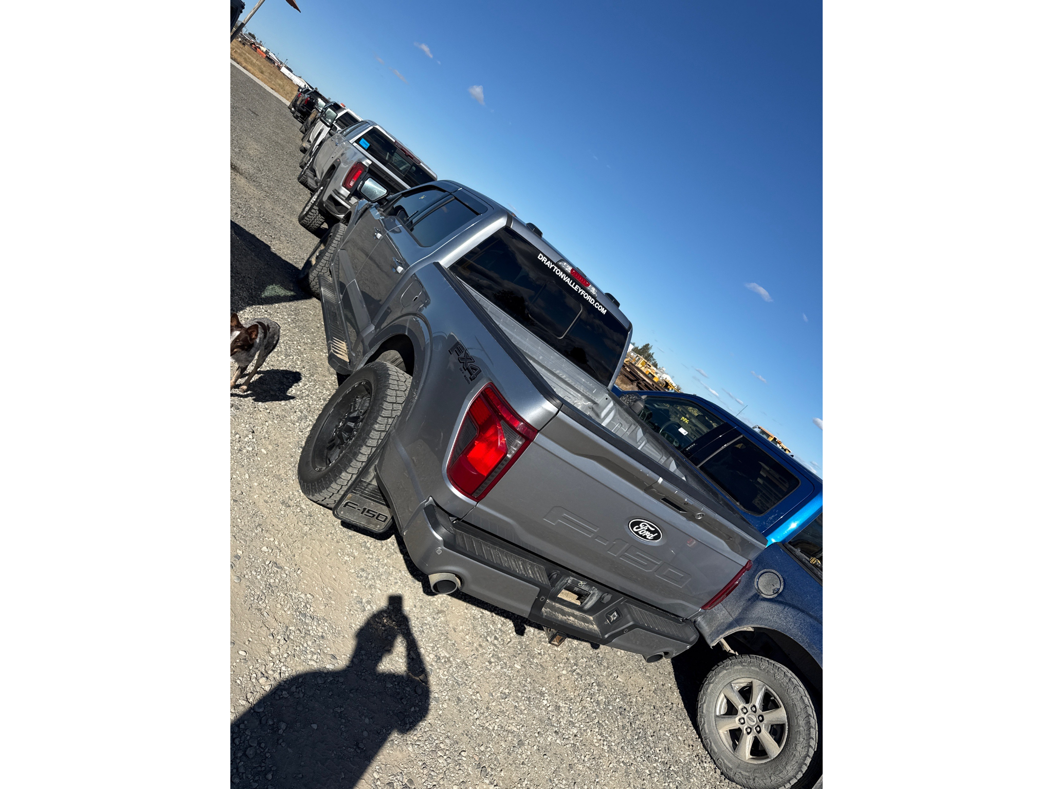 Used 2024 Ford F-150 XLT Cab; Super Crew